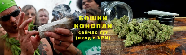 мескалин Богданович