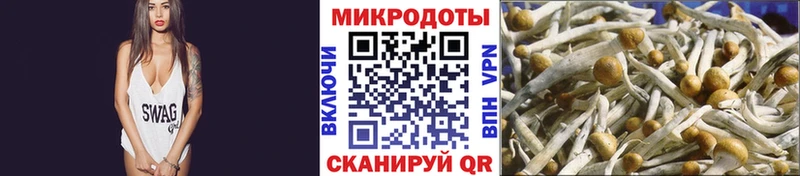 Галлюциногенные грибы мухоморы  Называевск 